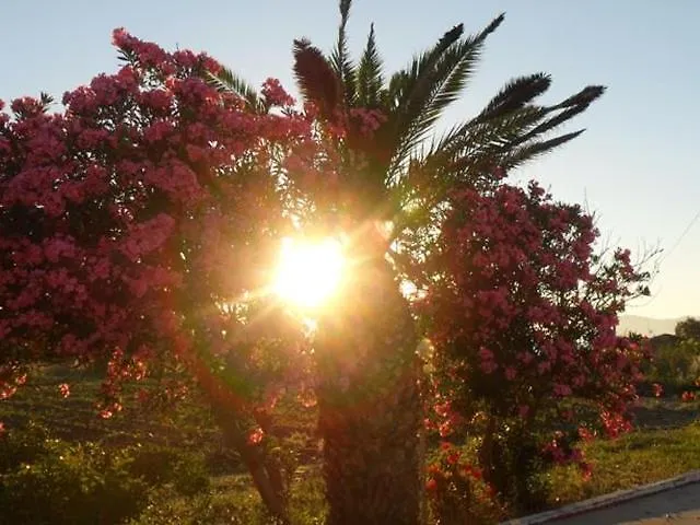 Miros Lejlighedshotel 2*